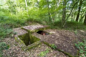 Ligne Maginot - LANGSTWALD 4 - (Blockhaus pour arme infanterie) - 