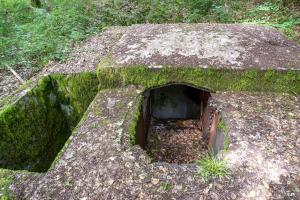 Ligne Maginot - LANGSTWALD 4 - (Blockhaus pour arme infanterie) - 