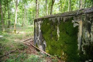 Ligne Maginot - LANGSTWALD 5 - (Blockhaus pour canon) - Entrée des hommes