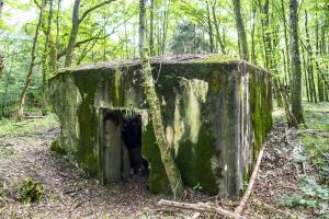 Ligne Maginot - LANGSTWALD 5 - (Blockhaus pour canon) - Entrée du matériel