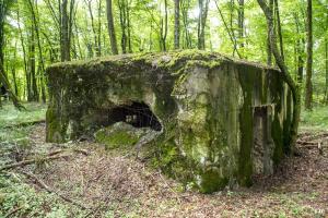 Ligne Maginot - LANGSTWALD 5 - (Blockhaus pour canon) - Le mur nord est percée