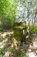 Ligne Maginot - LANGSTWALD 7 - (Blockhaus de type indeterminé) - 