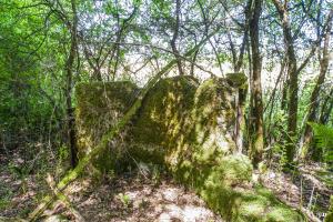 Ligne Maginot - LANGSTWALD 7 - (Blockhaus de type indeterminé) - 
