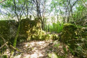 Ligne Maginot - LANGSTWALD 7 - (Blockhaus de type indeterminé) - 