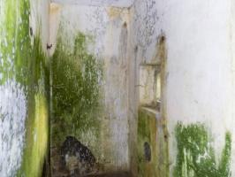 Ligne Maginot - GRAND PAQUIS - (Casemate d'artillerie) - Créneau FM, vers le sud-est