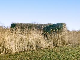 Ligne Maginot - MC29 - STG B - (Casemate d'infanterie - double) - 