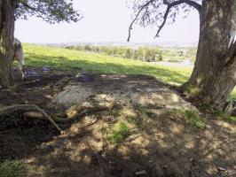 Ligne Maginot - P2 - TERRE LACOUE EST - (Blockhaus pour arme infanterie) - Pris dans le direction nord-ouest vers Sedan
