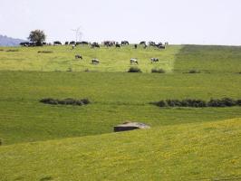 Ligne Maginot - P2 - TERRE LACOUE EST - (Blockhaus pour arme infanterie) - Vue vers le sud-est, Bb129-G