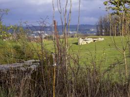 Ligne Maginot - C - OUEST DE FRENOIS - (Blockhaus pour canon) - Vue vers le nord-est
La casemate d'artillerie de Bellevue pris du blockhaus
