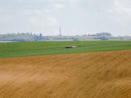 Ligne Maginot - 1C - PETIT REMILLY SUD - (Blockhaus pour canon) - Vue vers le sud-est, P5