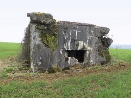 Ligne Maginot - 221 - LA VASALLEE SUD - (Blockhaus pour canon) - 
