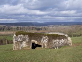 Ligne Maginot - BELLEVUE - (Casemate d'artillerie) - Vue vers le nord