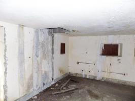 Ligne Maginot - MF10 - M - BOIS DE SAINT MENGES - (Poste GRM - Maison Forte) - L'arrière et face gauche