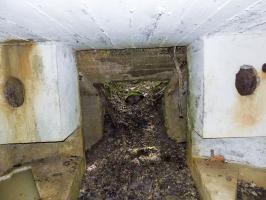 Ligne Maginot - 32A - SAINT OEUVRE - (Blockhaus pour canon) - Vers l'entrée