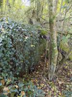 Ligne Maginot - 30A - COTE SAINT MARTIN - (Blockhaus pour canon) - Face frontale