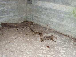 Ligne Maginot - CEZF-18 - LA CASSINE OUEST - (Casemate d'infanterie - double) - 