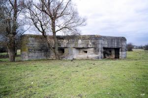 Ligne Maginot - CEZF-40 - FORET DE MANGIENNES - (Casemate d'infanterie) - 
