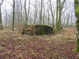 Ligne Maginot - ROHRWALD NORD - (Blockhaus pour arme infanterie) - Le blockhaus pour mitrailleuse.