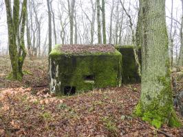 Ligne Maginot - ROHRWALD NORD - (Blockhaus pour arme infanterie) - L'entrée et le créneau FM de défense rapproché.
