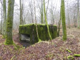 Ligne Maginot - ROHRWALD NORD - (Blockhaus pour arme infanterie) - La façade de tir.