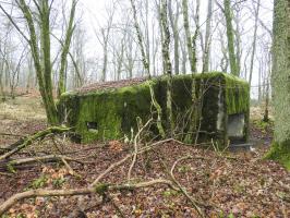 Ligne Maginot - ROHRWALD NORD - (Blockhaus pour arme infanterie) - 