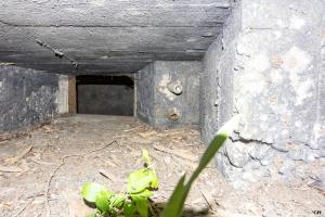 Ligne Maginot - M11B - USINE ELECTRIQUE 4 - (Blockhaus pour arme infanterie) - Le créneau qui flanque vers le blockhaus M32b - Usine Electrique 5