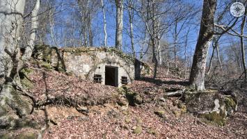 Ligne Maginot - BOIS DE LA COTE (169° RIF) - (PC de Sous-Secteur) - 