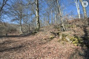 Ligne Maginot - BOIS DE LA COTE (169° RIF) - (PC de Sous-Secteur) - 