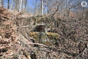 Ligne Maginot - BOIS DE LA COTE (169° RIF) - (PC de Sous-Secteur) - 