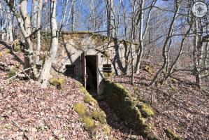Ligne Maginot - BOIS DE LA COTE (169° RIF) - (PC de Sous-Secteur) - 