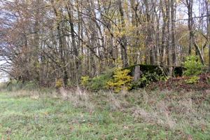 Ligne Maginot - PFAFFENBUSCH 2 - (Observatoire d'infanterie) - 