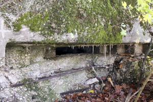 Ligne Maginot - PFAFFENBUSCH 2 - (Observatoire d'infanterie) - 