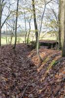 Ligne Maginot - PFAFFENBUSCH 2 - (Observatoire d'infanterie) - 