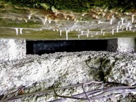 Ligne Maginot - PFAFFENBUSCH 2 - (Observatoire d'infanterie) - 