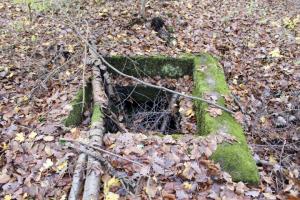 Ligne Maginot - PFAFFENBUSCH 4 - (Chambre de coupure) - 