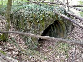 Ligne Maginot - PFAFFENBUSCH 5 - (PC) - 