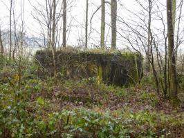 Ligne Maginot - 201 - LA NIVRAGNE OUEST - (Blockhaus pour canon) - 