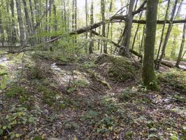 Ligne Maginot - 201 - LA NIVRAGNE OUEST - (Blockhaus pour canon) - Grand abri, 50m du bloc