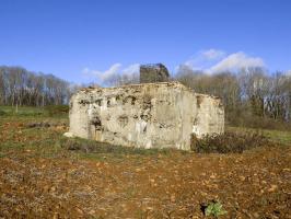 Ligne Maginot - 222 - SAURETERRE OUEST - (Blockhaus pour canon) - 