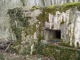 Ligne Maginot - 310 - LA VASALLEE NORD - (Blockhaus pour arme infanterie) - Face gauche