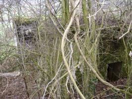 Ligne Maginot - 311 - SAURETERRE EST - (Blockhaus pour arme infanterie) - 