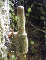 Ligne Maginot - K - FERME DU MOULIN - (Blockhaus pour canon) - 
