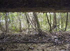 Ligne Maginot - K - FERME DU MOULIN - (Blockhaus pour canon) - 