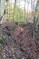 Ligne Maginot - PFAFFENBUSCH 6 - (Abri) - 