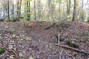 Ligne Maginot - PFAFFENBUSCH 6 - (Abri) - 