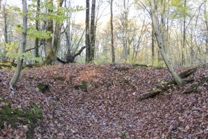 Ligne Maginot - PFAFFENBUSCH 6 - (Abri) - 