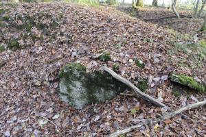 Ligne Maginot - PFAFFENBUSCH 6 - (Abri) - 