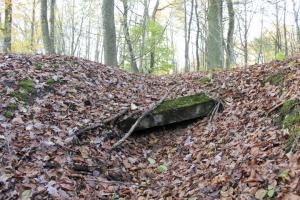 Ligne Maginot - PFAFFENBUSCH 6 - (Abri) - Le linteau de l'entrée