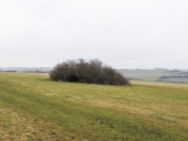 Ligne Maginot - LANTZWILLER - (Blockhaus pour canon) - Le blockhaus caché dans un fourré.