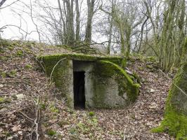 Ligne Maginot - SAUUNTER - (Abri) - L'unique entrée de l'abri.